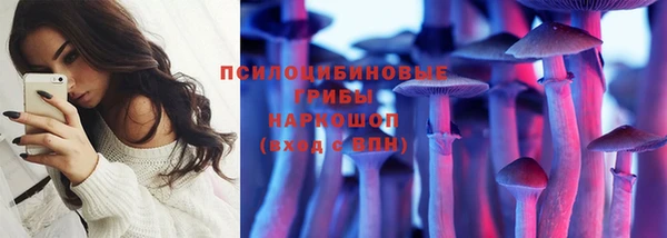 дживик Алексин