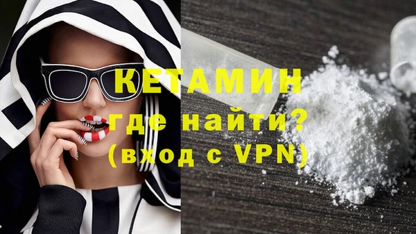 прущие грибы Наволоки