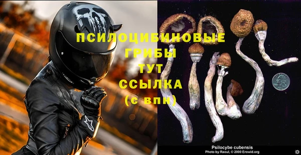 дживик Алексин