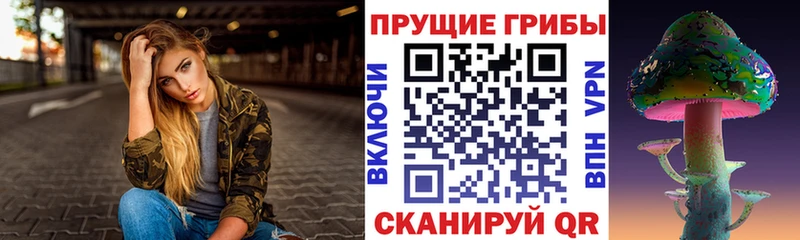 Галлюциногенные грибы Psilocybe Кострома