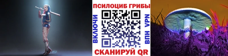 где найти   Кострома  Галлюциногенные грибы Psilocybe 